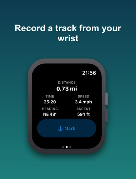The recording dashboard on the watch